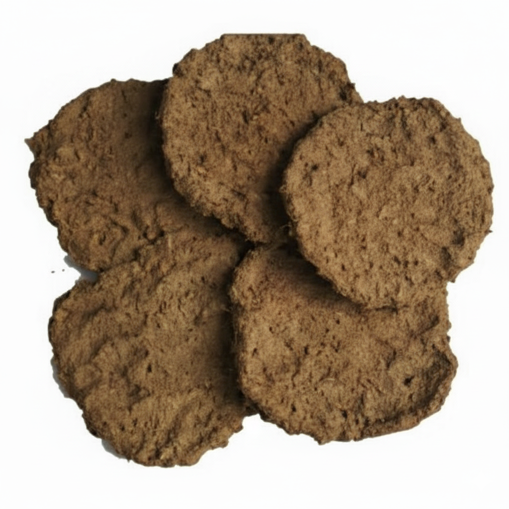 Pediatrics Department